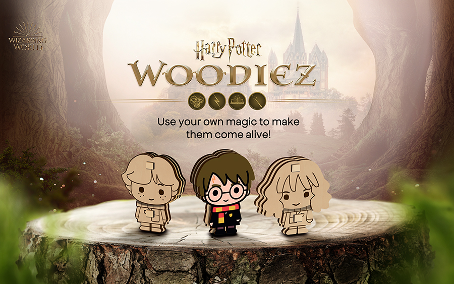 Harry Potter - Pitch Presentation